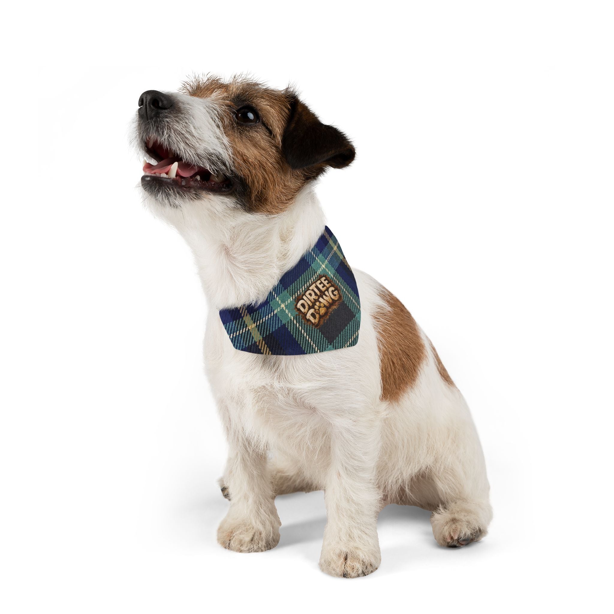 "Dirtee Dawg" Blue Plaid Bandana, Collar