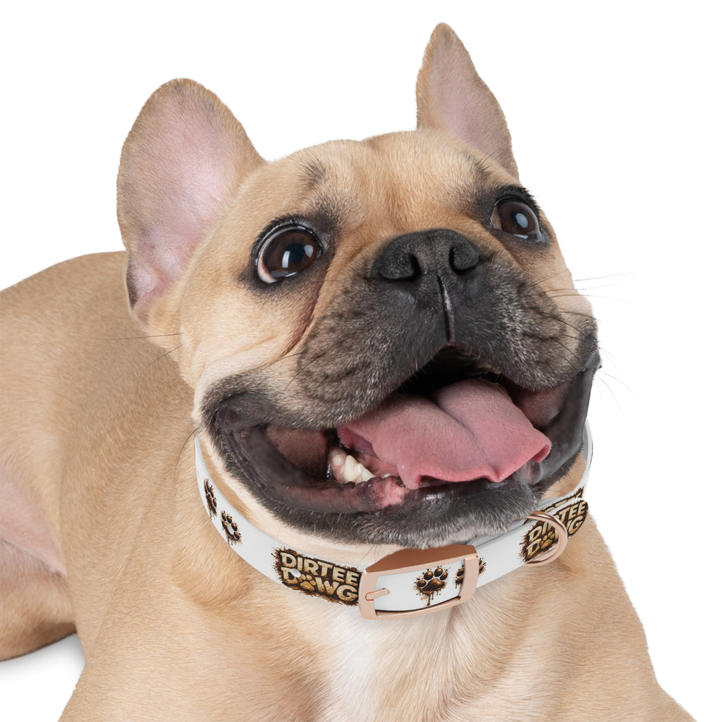 Dog Collar