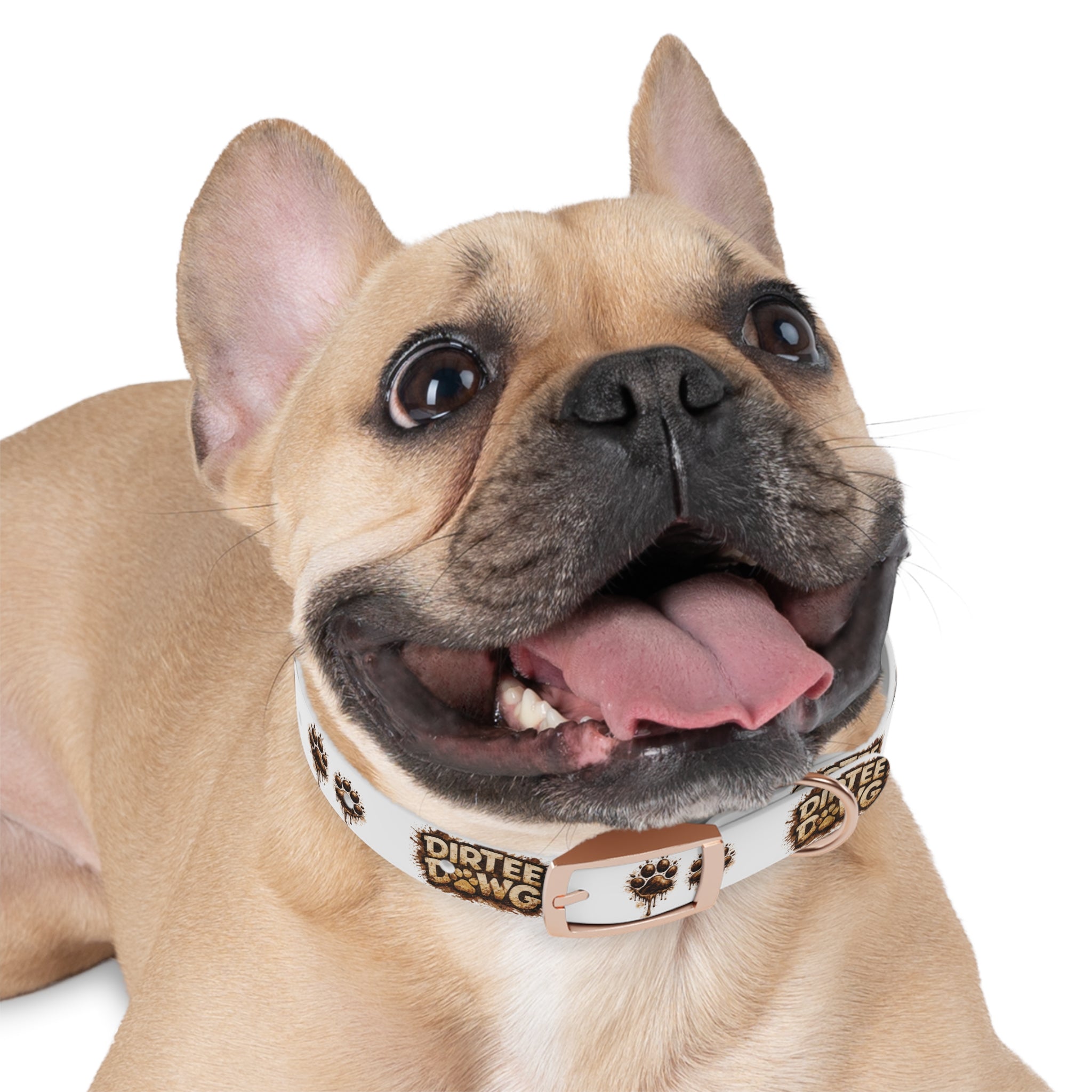Dog Collar